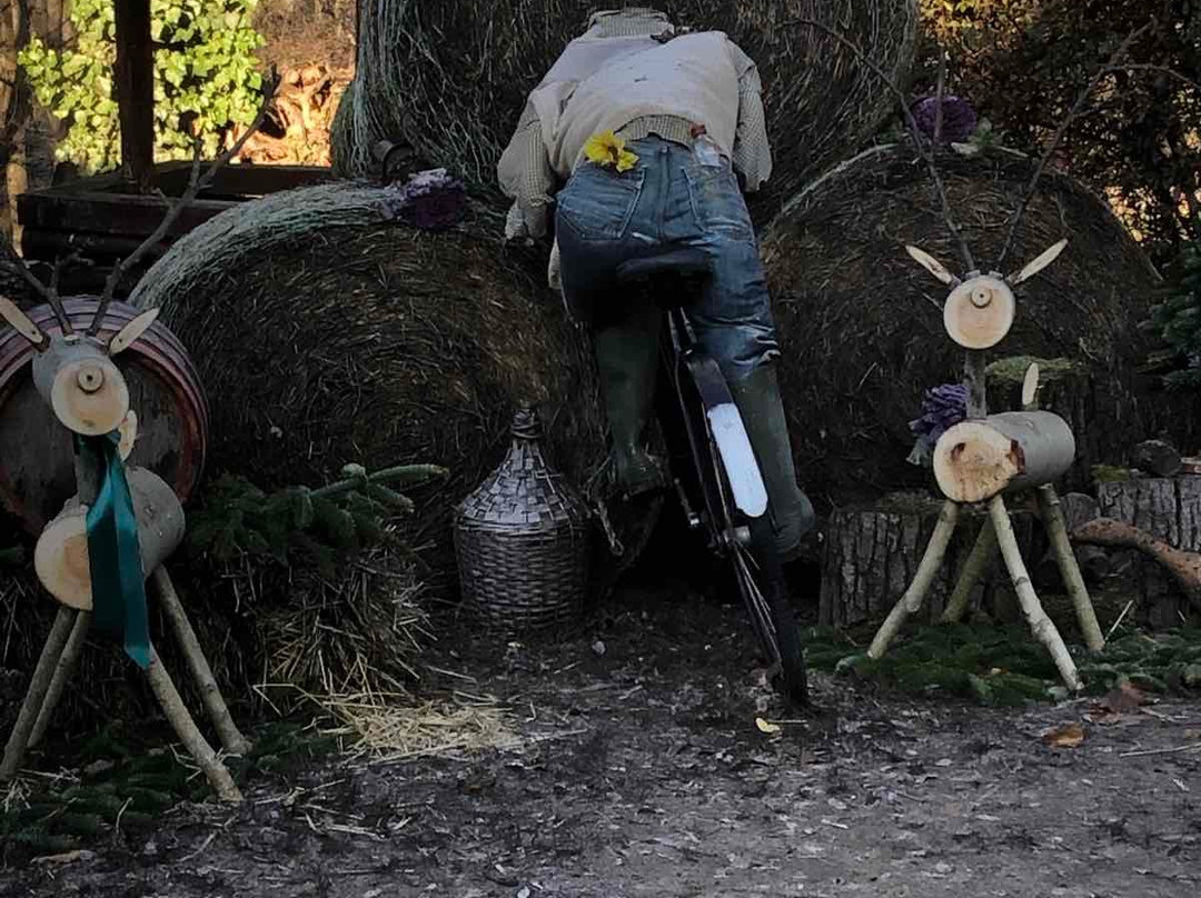 Fenyoharaszt Kastelyszallo主图