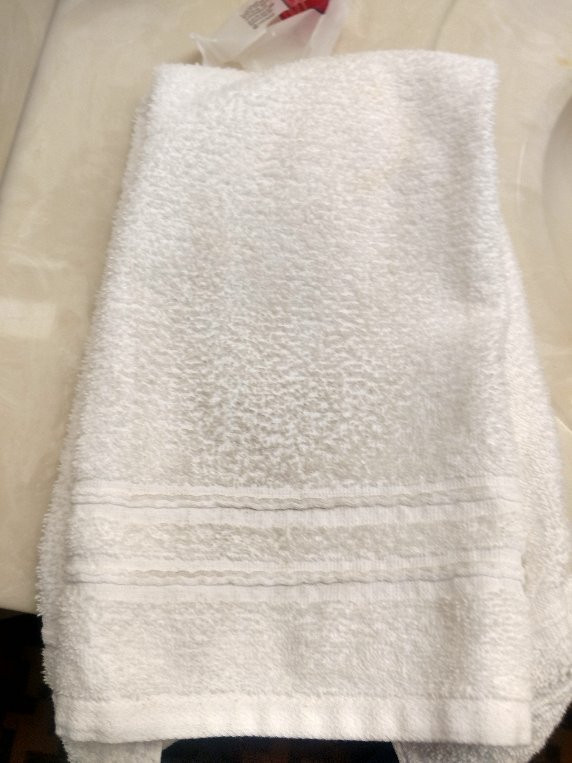 Super 8 by Wyndham Cloverdale主图