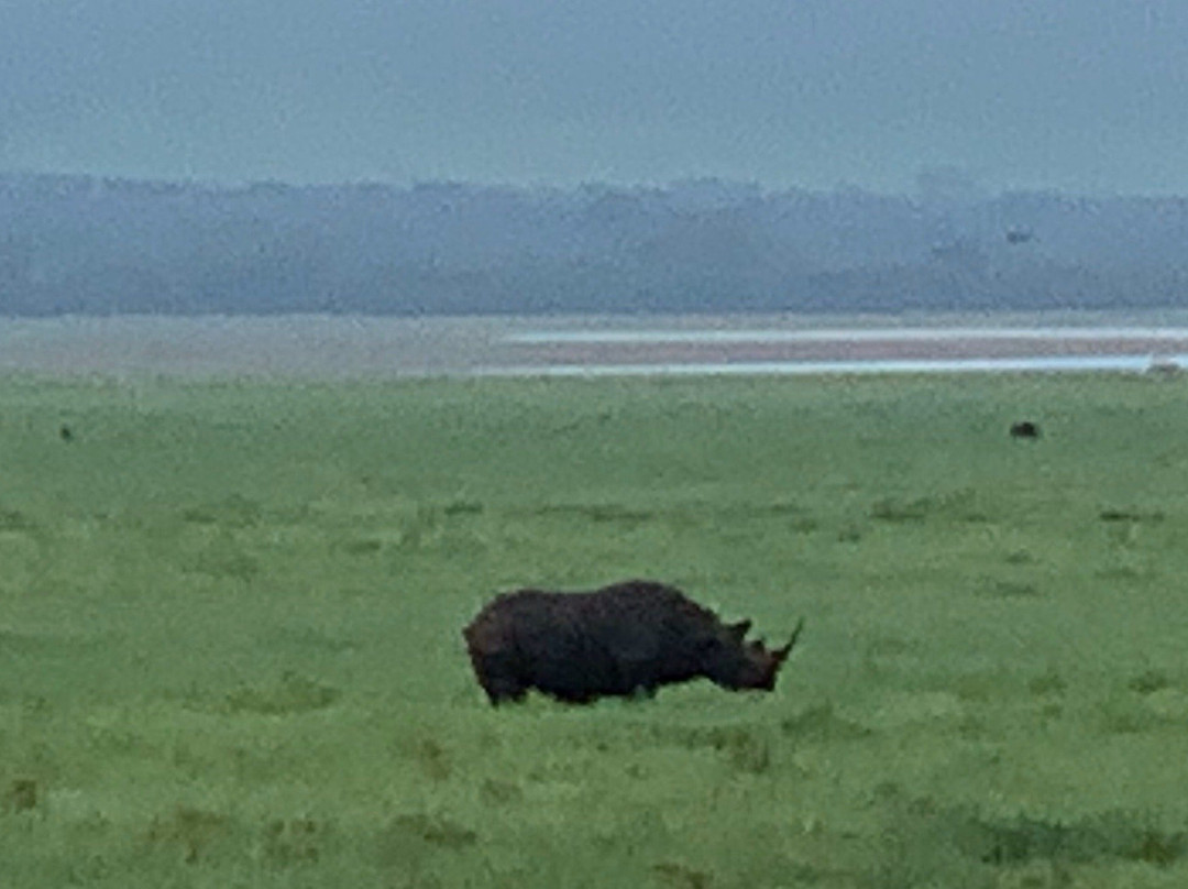 Ngurdoto Crater-阿鲁沙必去景点