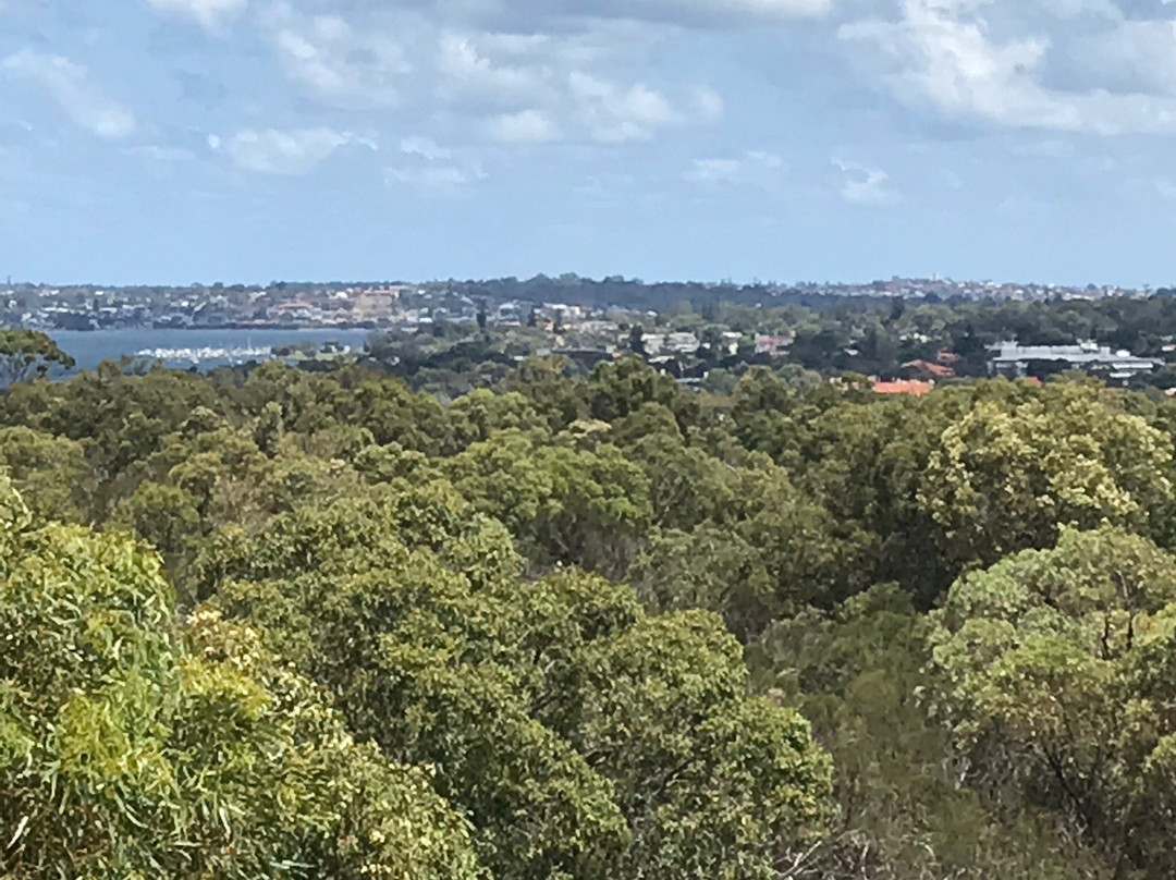 DNA Tower Climb-珀斯必去景点