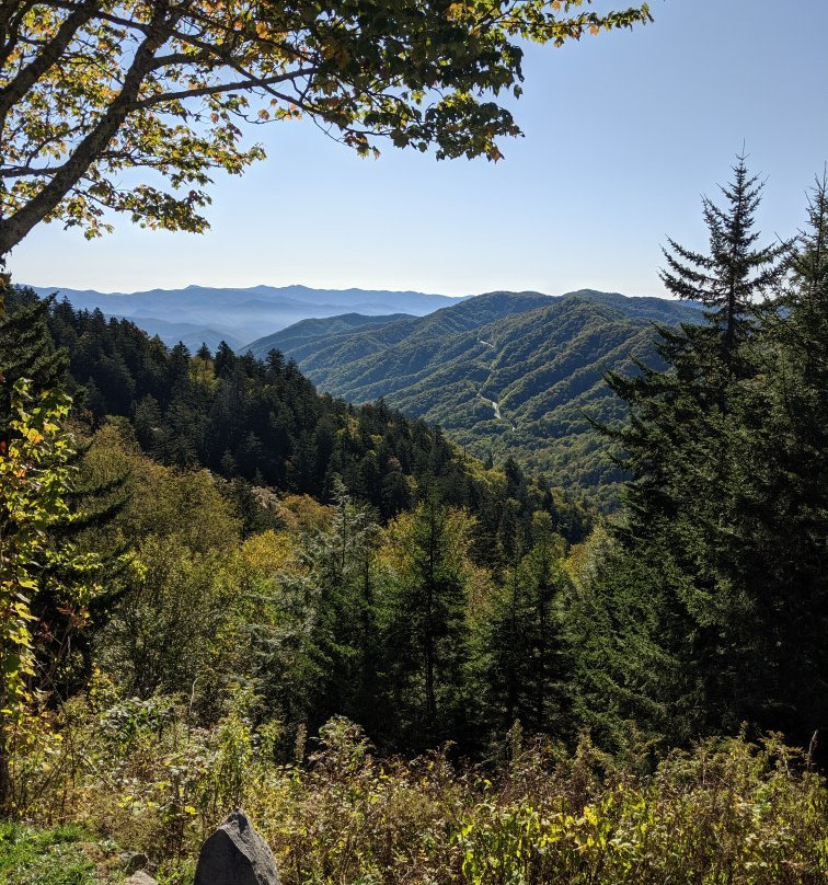 Newfound Gap Road景点图片