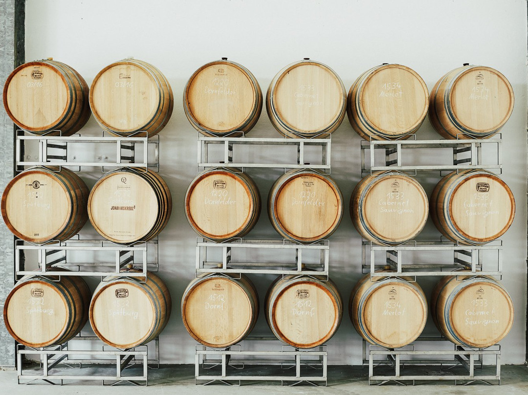 Meyerhof - Winery, Vinothek & Guest House主图