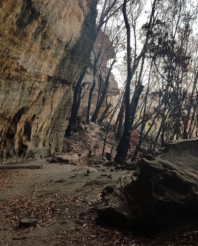Blackfellows Hand Cave-利特高必去景点