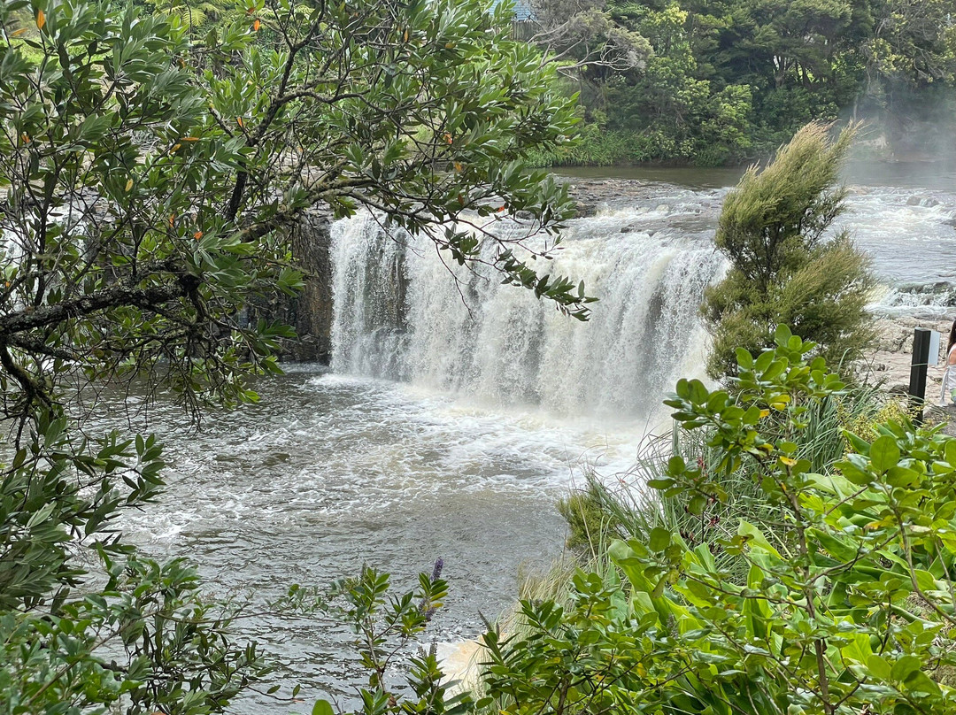 Waitangi To Haruru Falls Trail景点图片