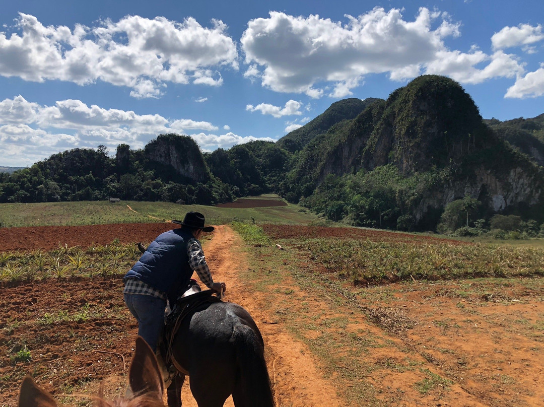 Horse Ride Viñales景点图片