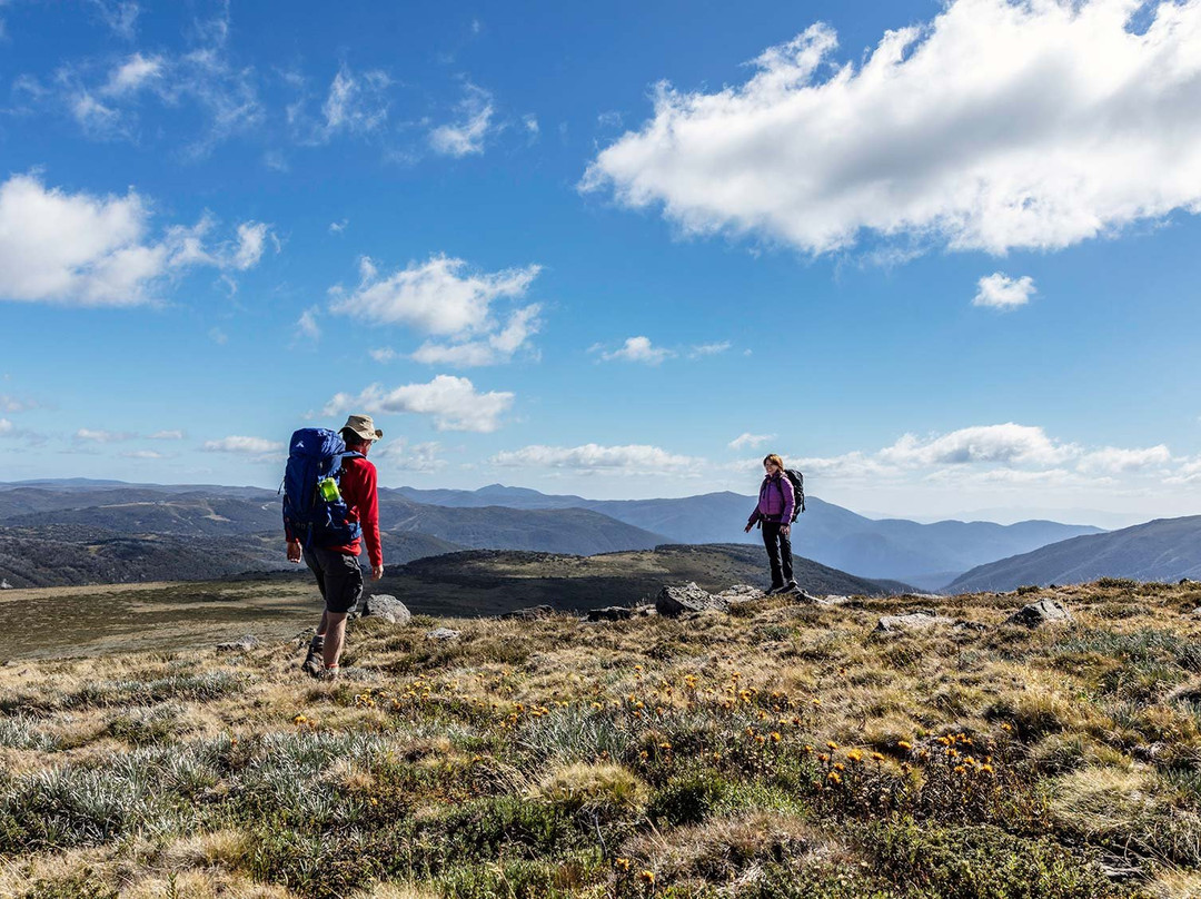 Eskdale旅游攻略图片