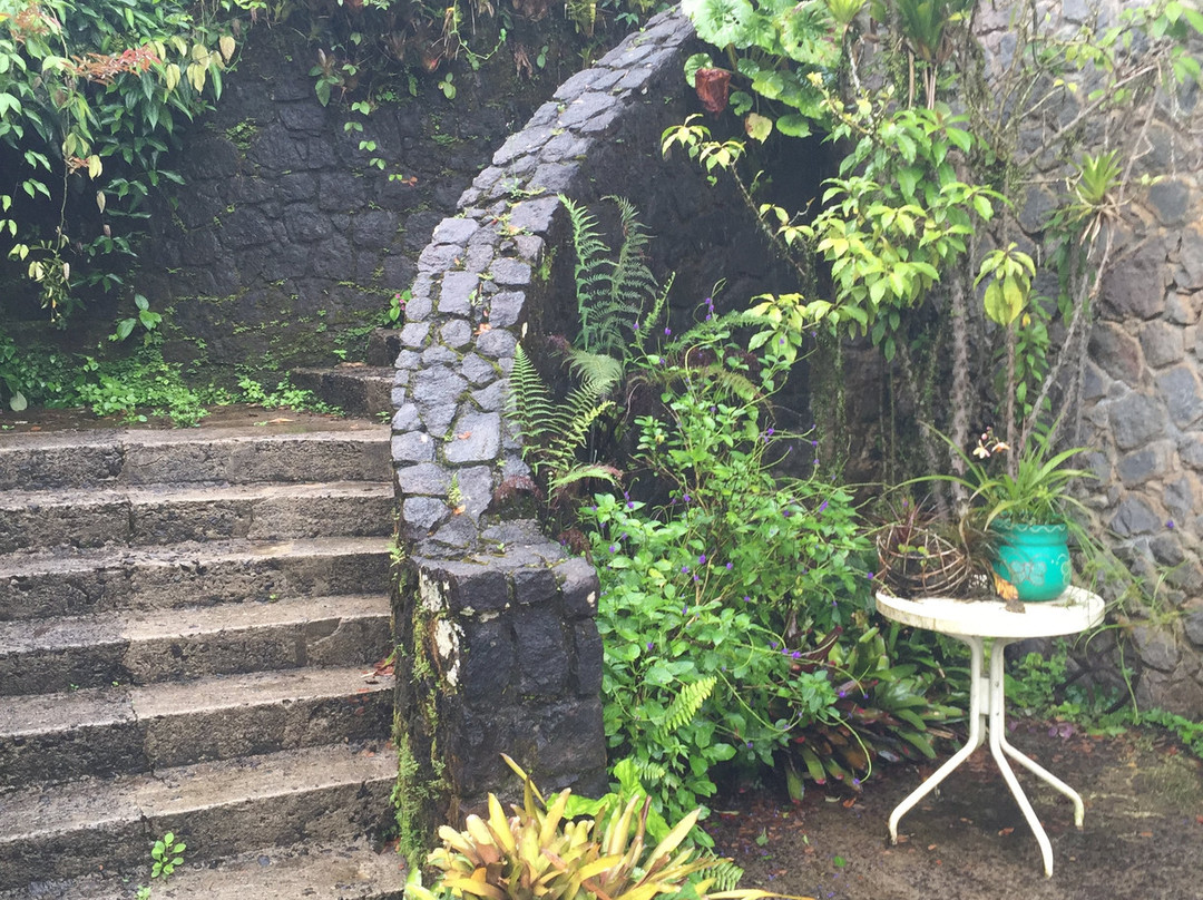 Papillote Wilderness Retreat主图