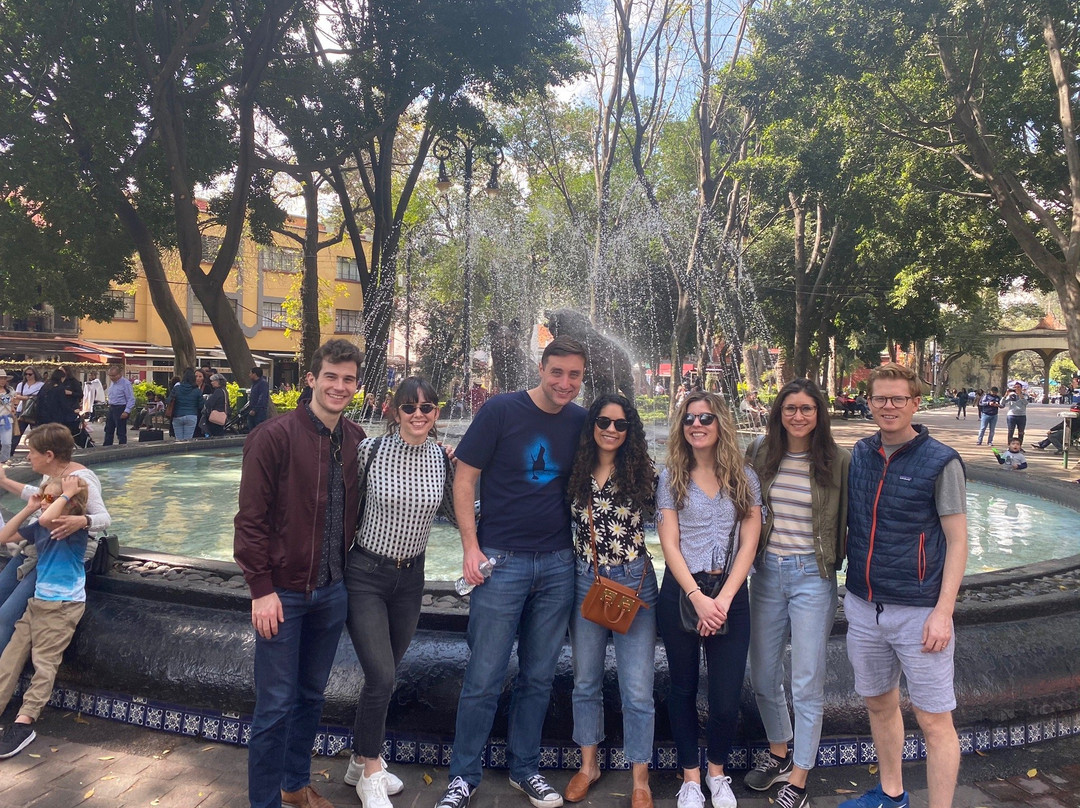 Mexico Tour Freelance-墨西哥城必去景点