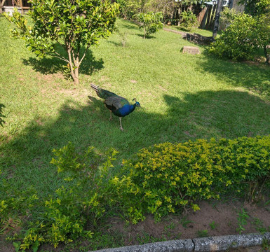 Hotel Estancia Bonanza主图