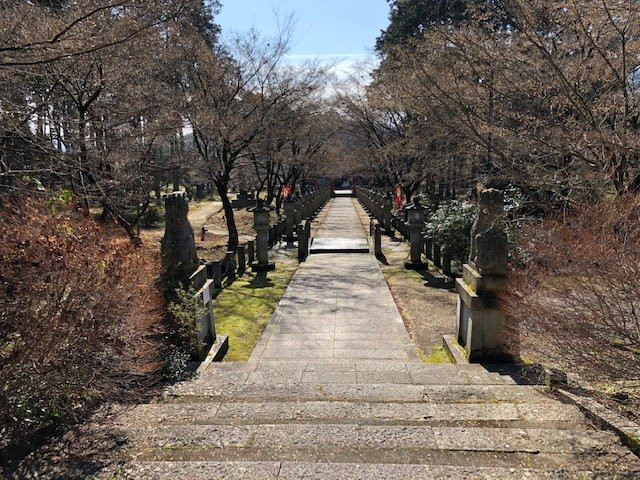 Kozanji Temple-丹波市必去景点