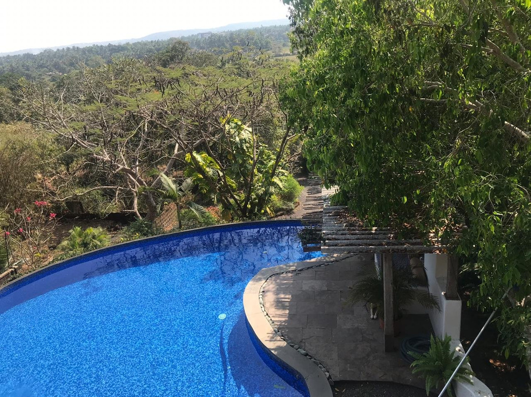 Capella Forest Retreat & Homestay主图