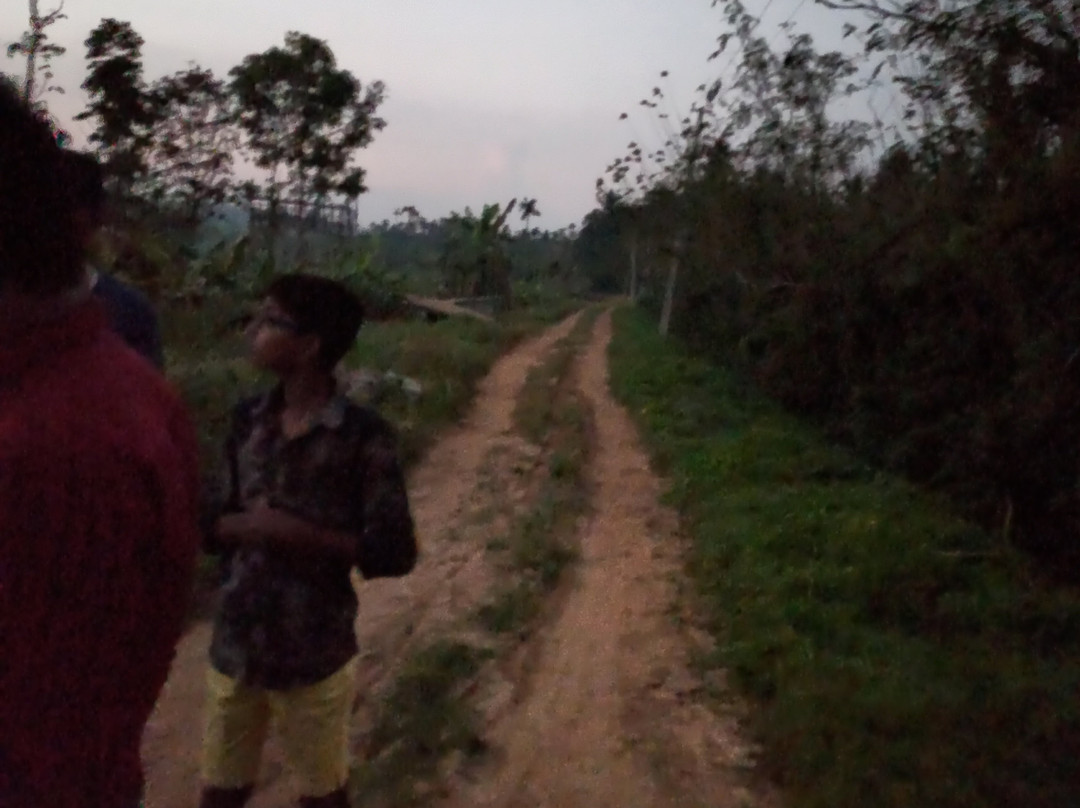 Pillowrocks Homestay主图