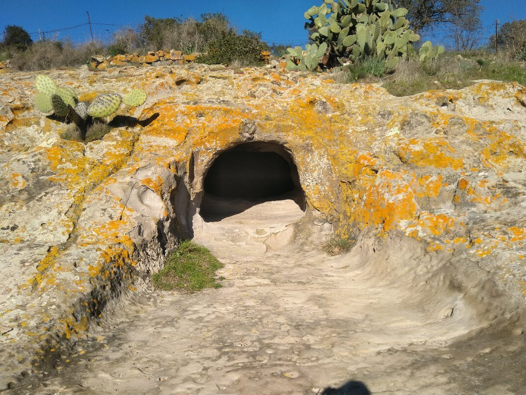 Necropoli di Sas Concas-Oniferi必去景点