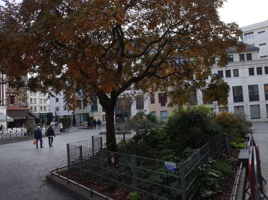 Place de la Pucelle-鲁昂必去景点