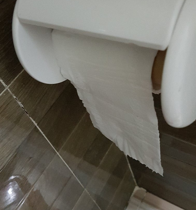 Windy Hill Catba Homestay主图