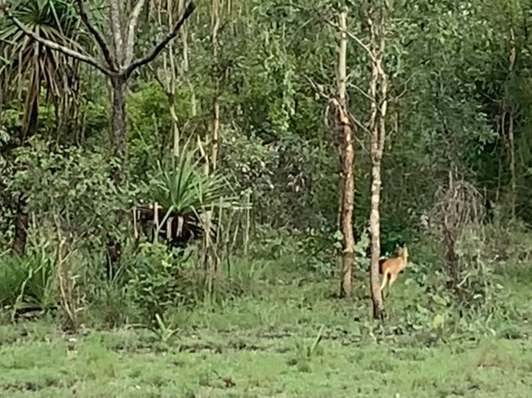 Mamukala Wetlands景点图片
