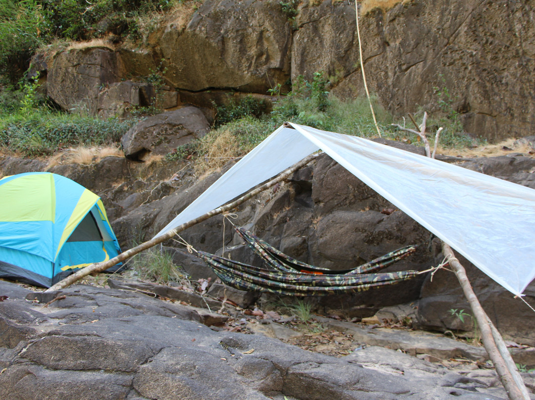 Wild KK Project-戈公必去景点