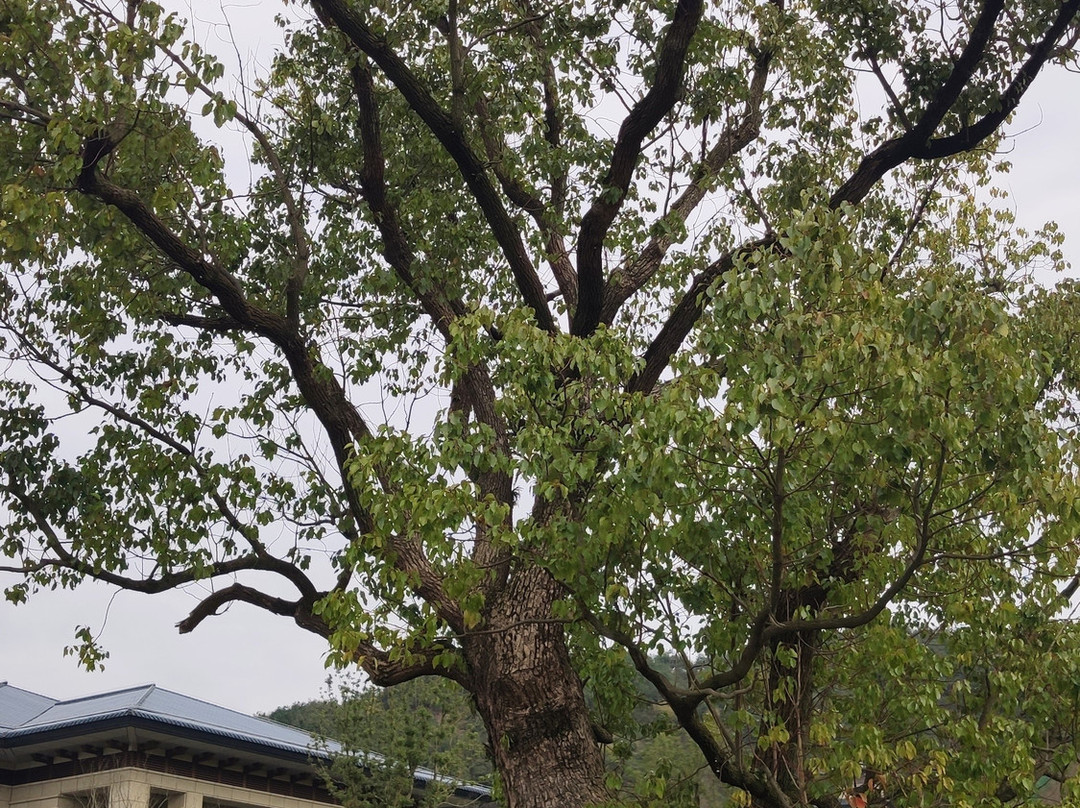 宁波钱湖国宾馆主图