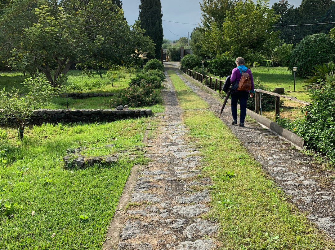 Agriturismo Codavolpe主图