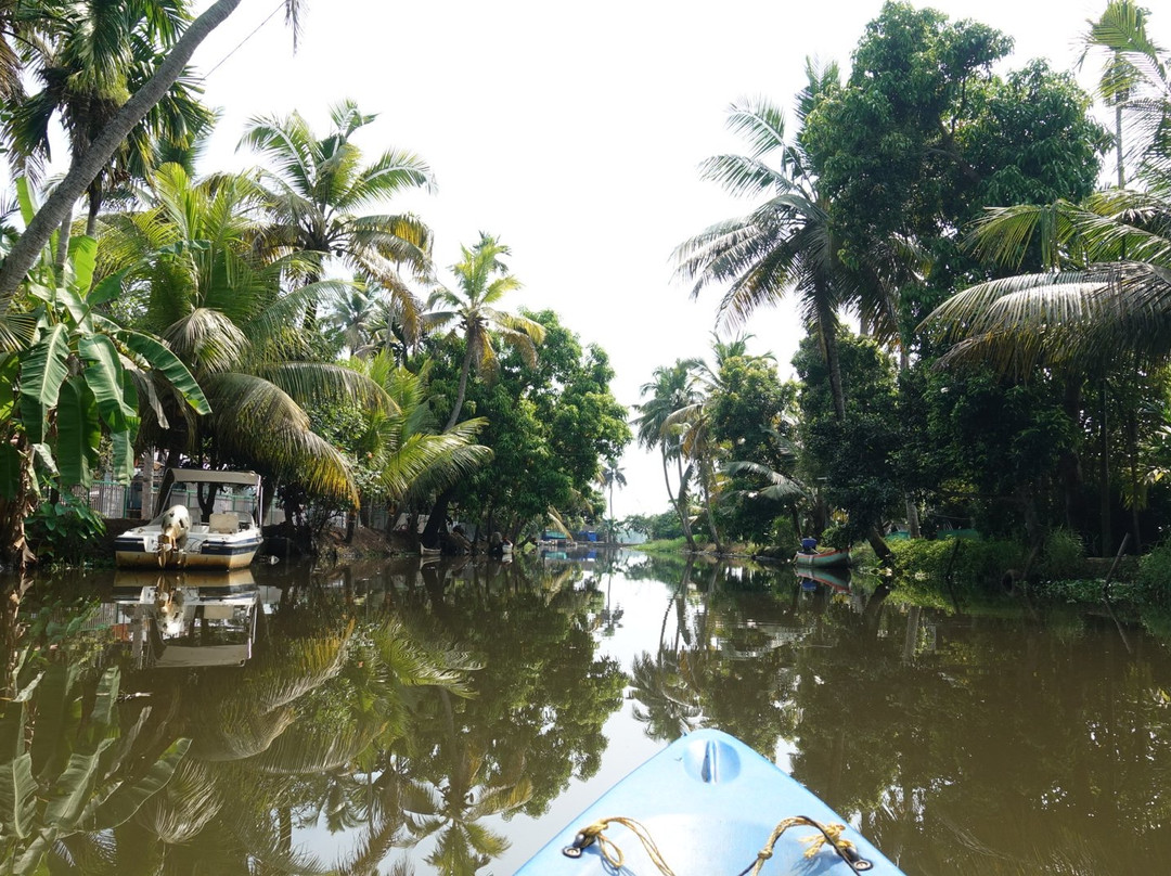Kerala Kayaking景点图片