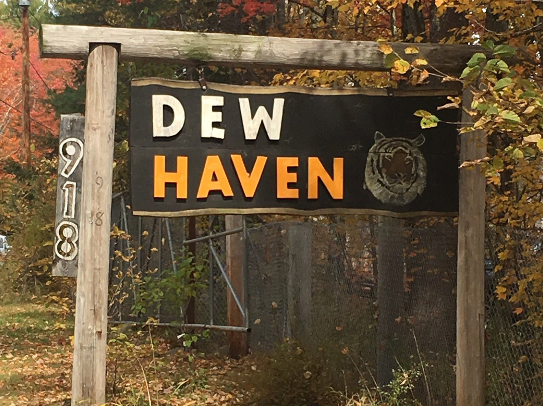 DEW Haven景点图片
