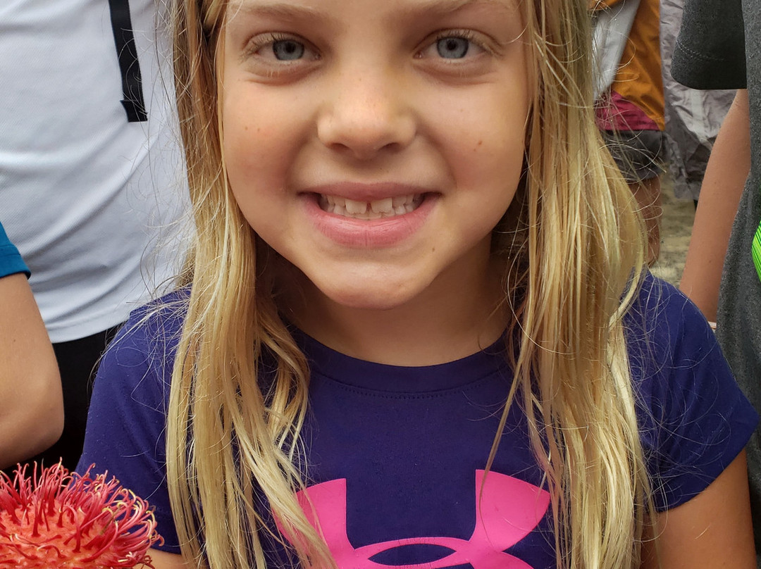 Hanalei Farmer’s Market-哈纳雷伊必去景点