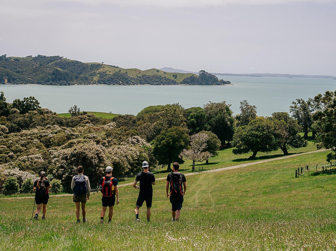 Wild Adventures New Zealand - Auckland Hiking Tours-奥克兰必去景点