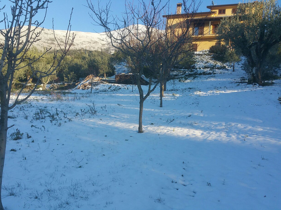Agriturismo Terra Verde主图