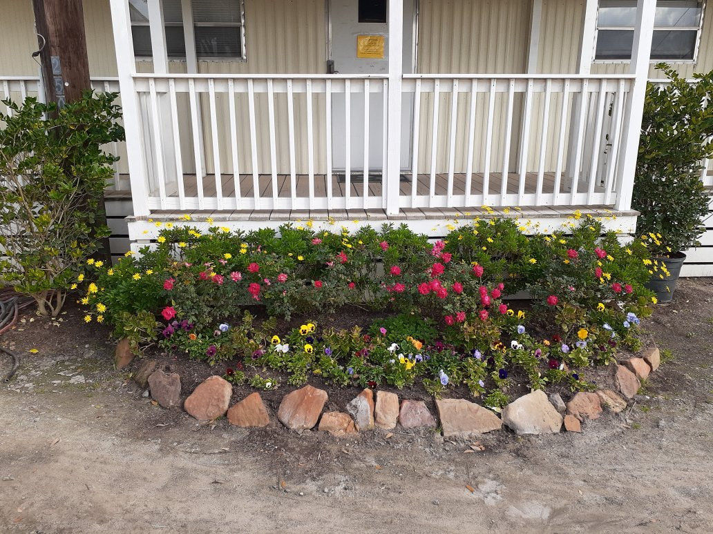 Great Southwest Equestrian Center-卡蒂必去景点