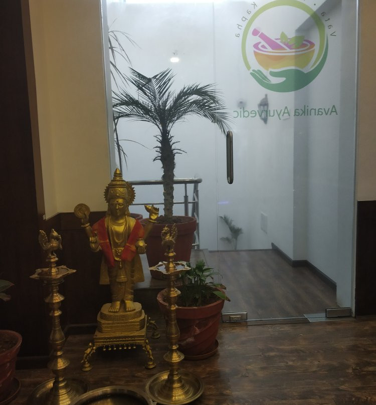 Avanika Ayurvedic景点图片