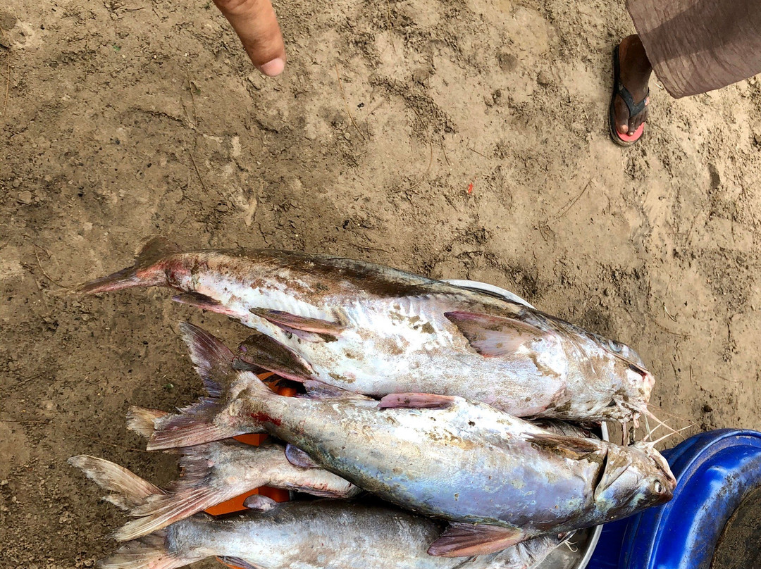 Zalala Beach-Quelimane必去景点