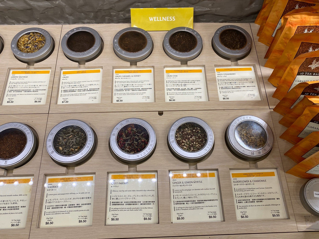 绿碧茶园景点图片