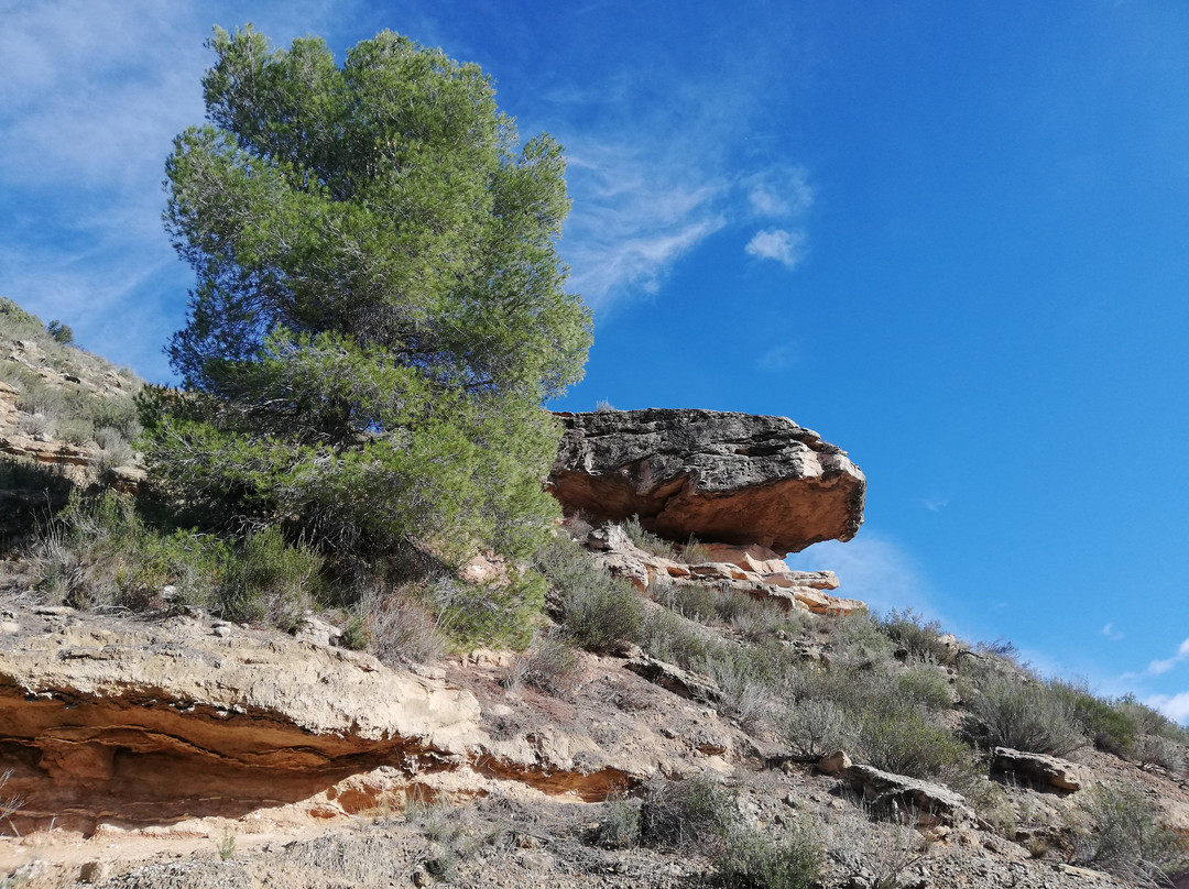 Reserva Natural de Sebes-Flix必去景点