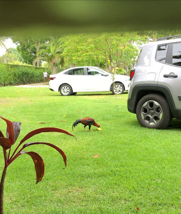 Casa Mia Eco Hotel Boutique主图