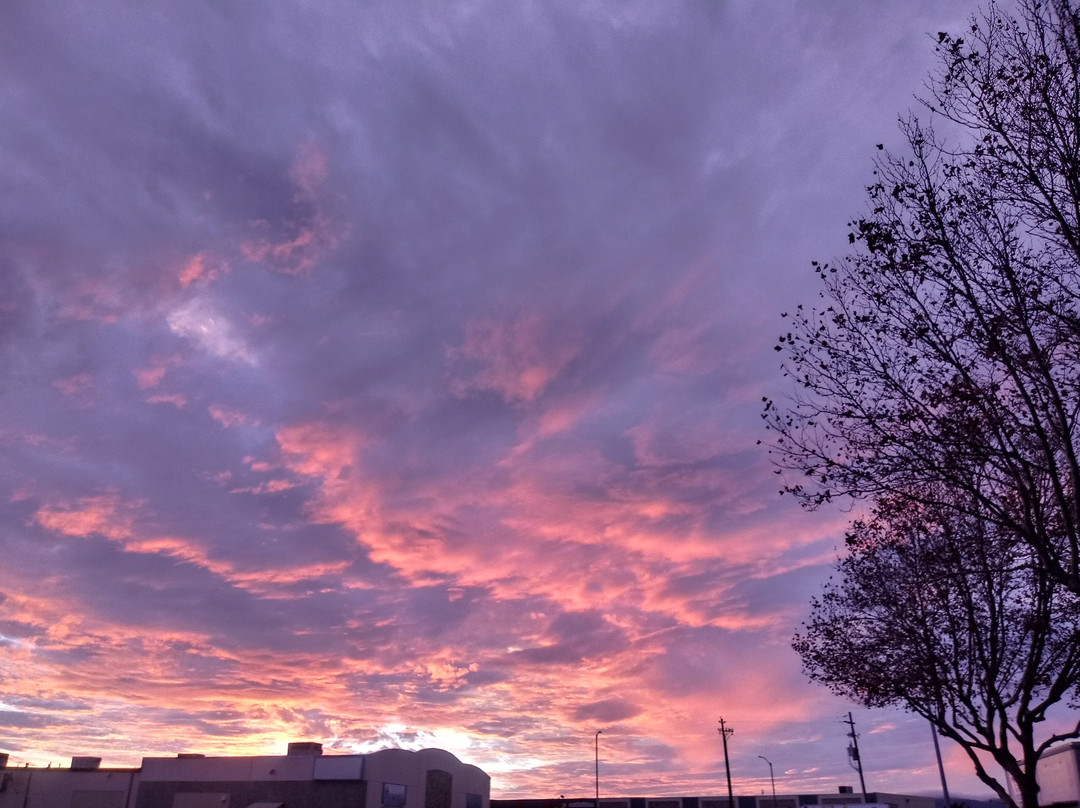 Suisun City Marina and Boat Ramp-Suisun City必去景点