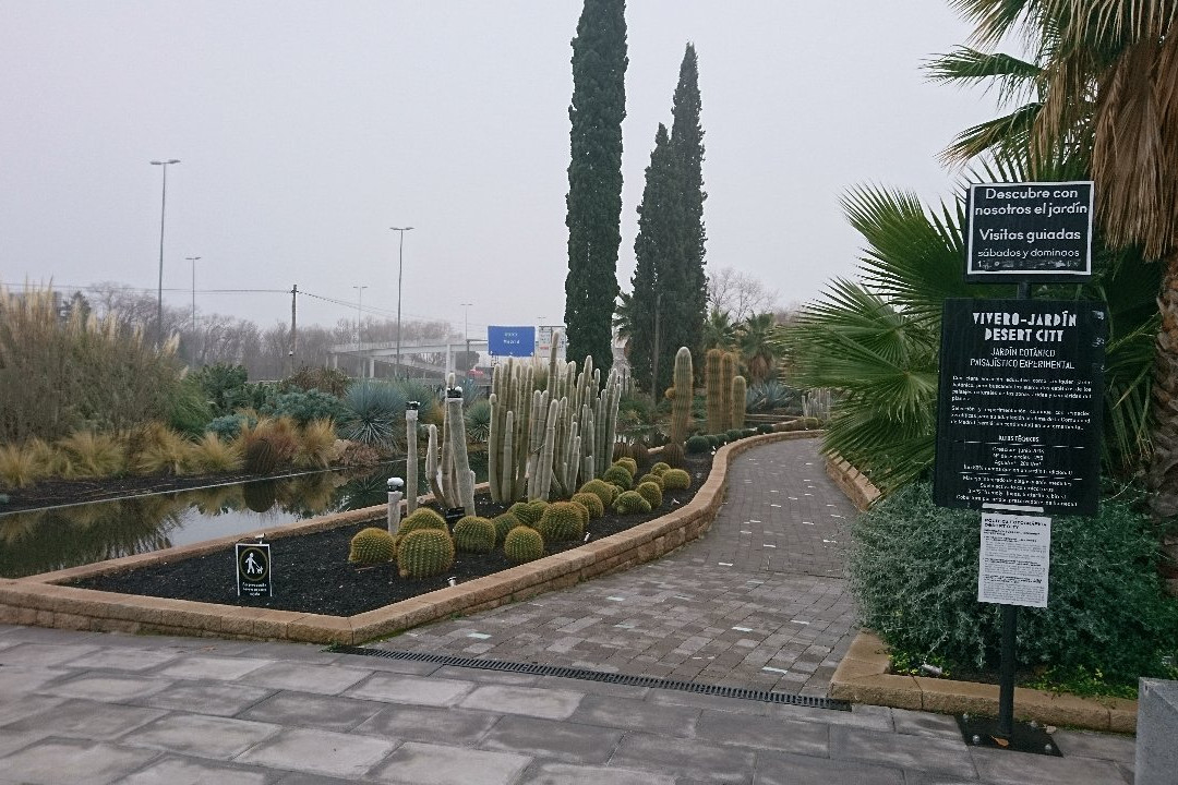 Desert City景点图片