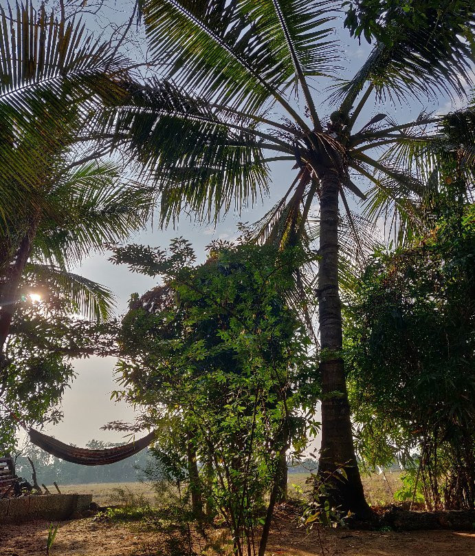 Peaceful Lake Homestay主图