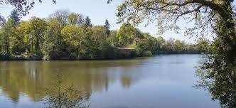 Etang de Bois Pouvreau et son chaos granitique景点图片