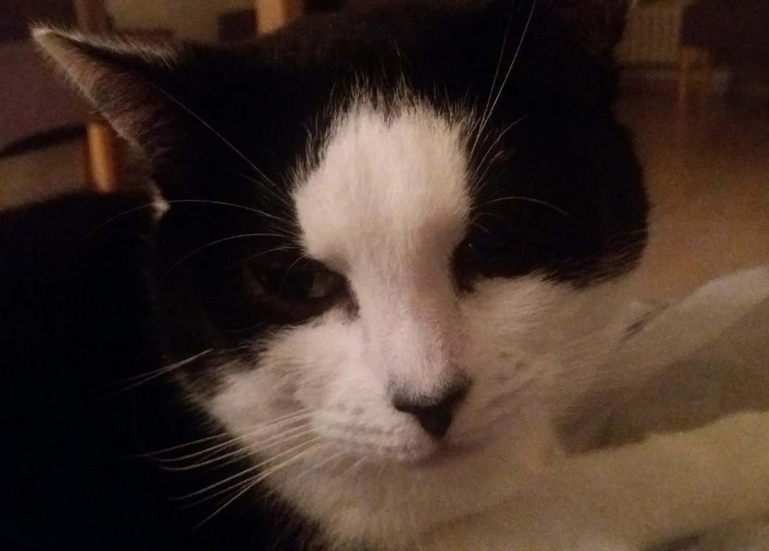 Kamer + Douche In Villa主图