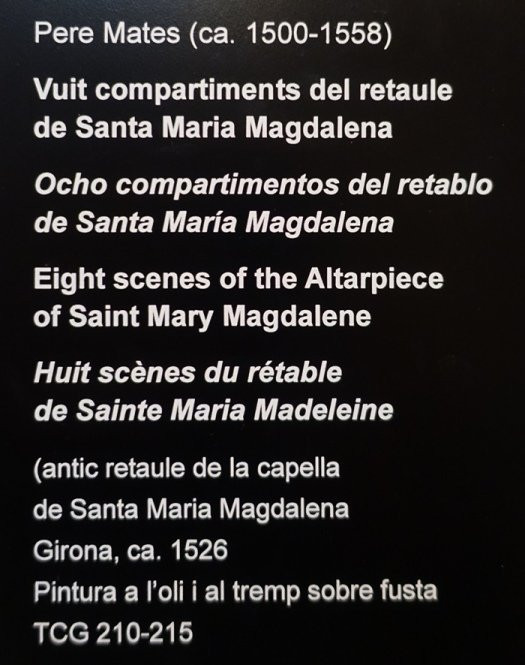 Musée de la Cathédrale.-赫罗那必去景点