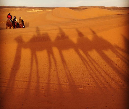 Disfruta Marruecos-马拉喀什必去景点