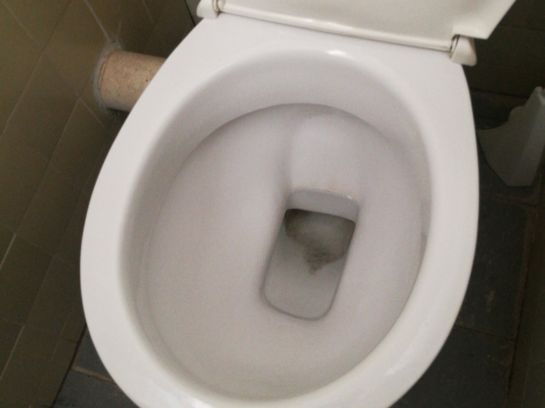 Gardenview Lodge Motel主图