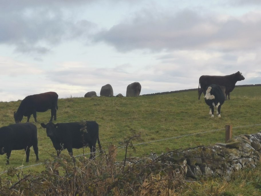 Torhouse Stone Circle-Wigtown必去景点