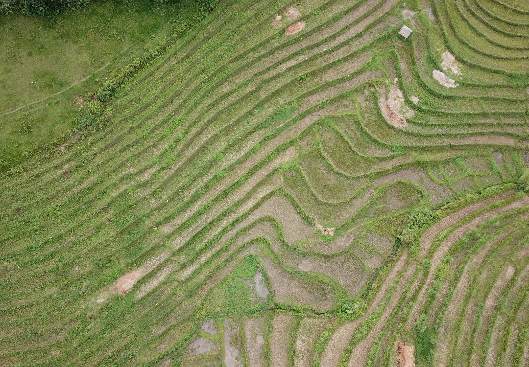 Candapdapan Rice Terraces景点图片