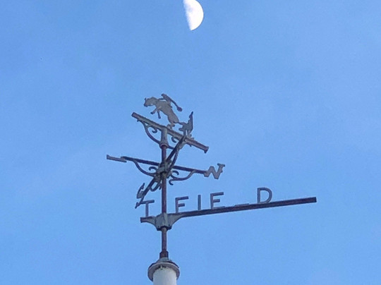 Kokernot Field-Alpine必去景点