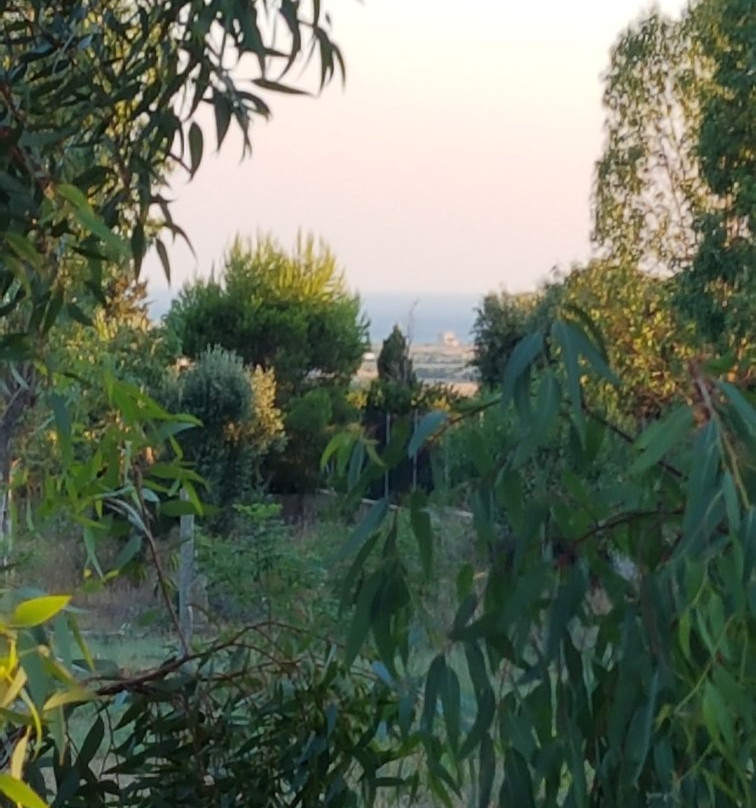 Valle Degli Ulivi主图