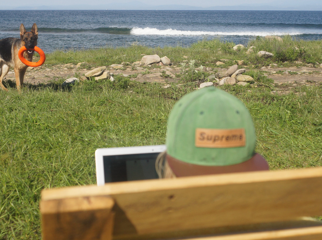 Surf Camp Swell景点图片