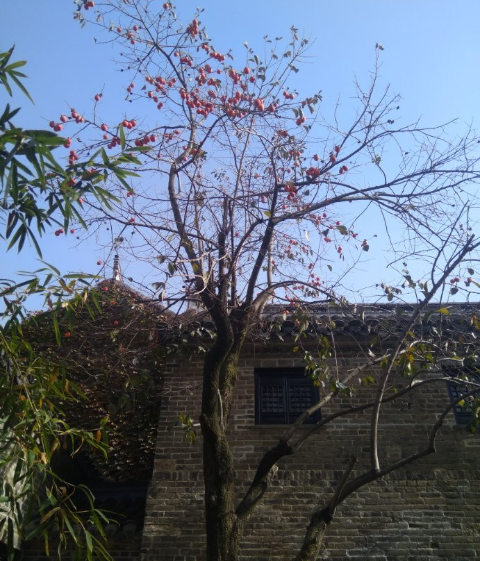 窑湾古镇-徐州市必去景点