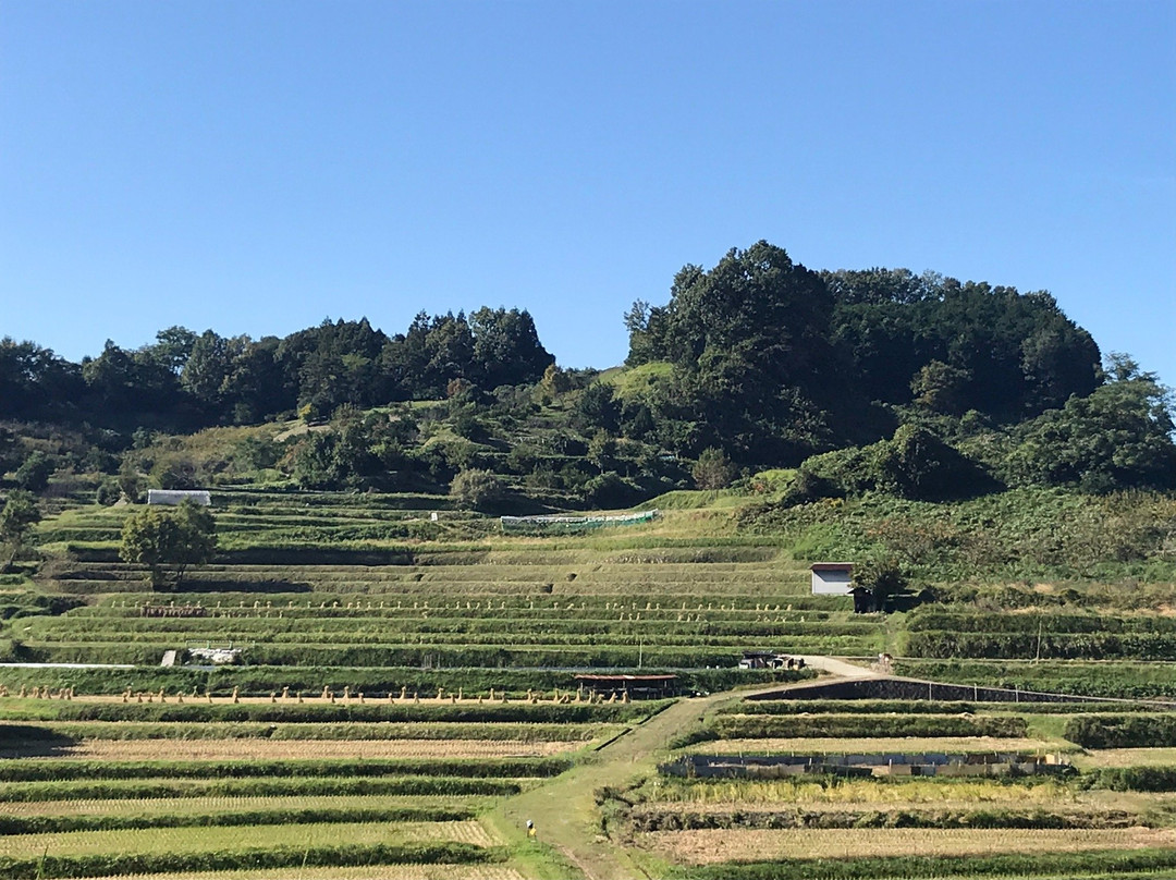 Inabuchinotanada景点图片