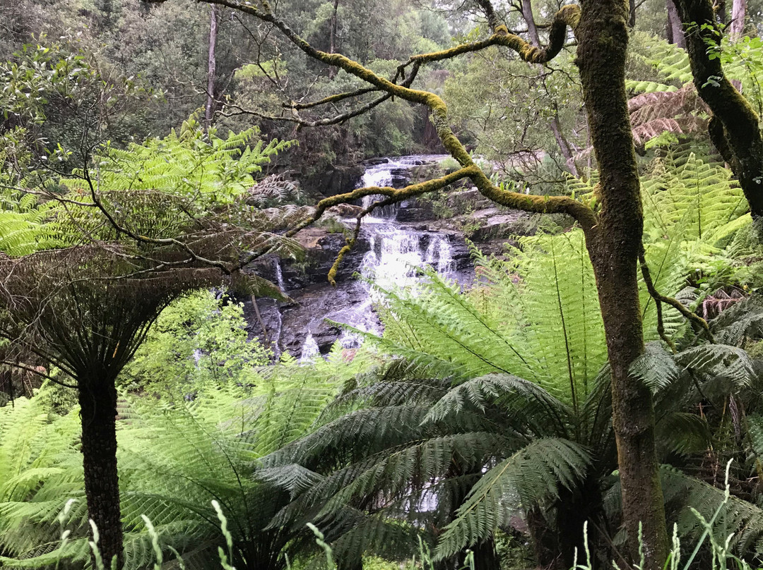 Turton Creek reserve-福斯特必去景点